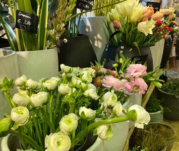 Frühstück im Hansen in Wien