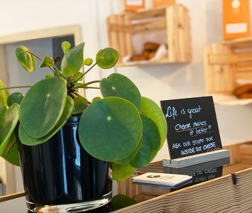 Frühstück bei Budapest Bägel in Wien