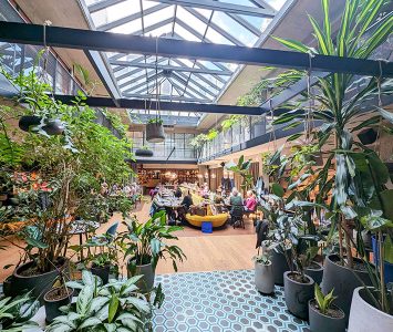 Frühstück im &flora in Wien